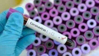 Photo of Coronavirus, a fine mese i primi test del vaccino sull’uomo