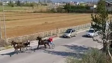 Photo of Corse di cavalli clandestine nelle strade deserte di Pasqua: 4 denunciati nel Lazio