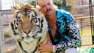 Photo of TIGER KING, LA DOCUSERIE DI NETFLIX DI CUI TUTTI PARLANO (ANCHE TRUMP)